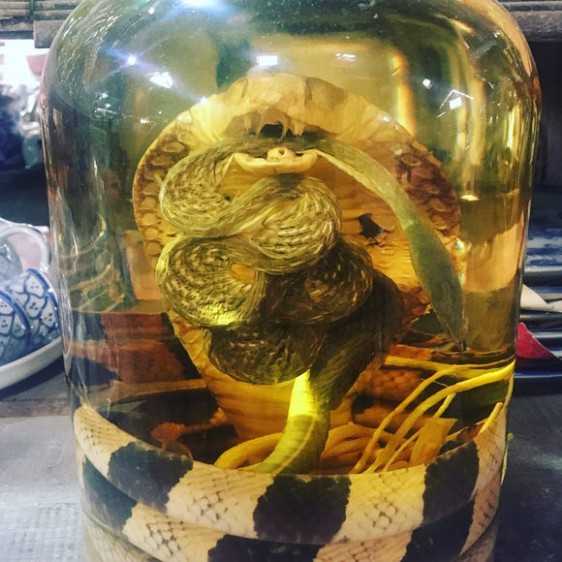 Snake Wine Gastro Obscura Alcohol Painting Cles Near Me