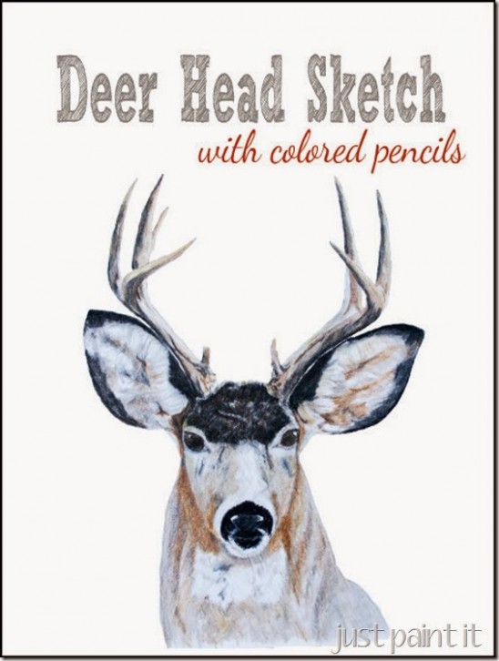 A Deer Sketch With Colored Pencils Just Paint It Blog Chalk Spray Paint On Metal