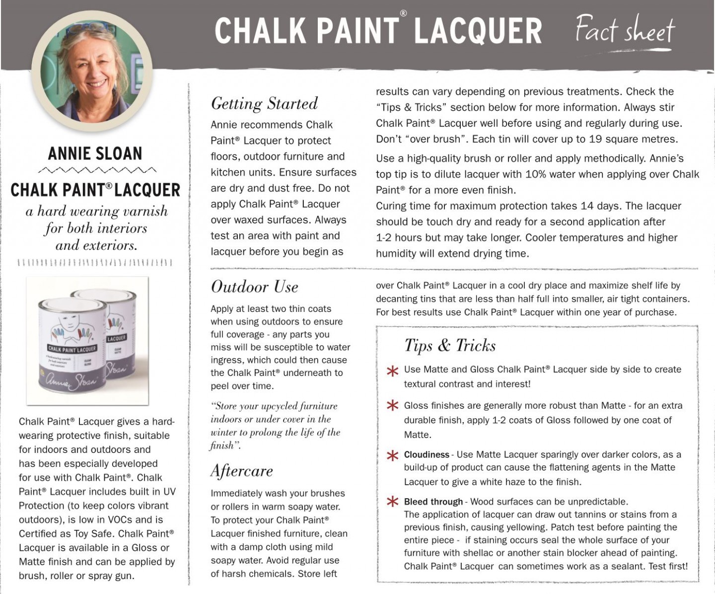 Annie Sloan Lacquer Matte Finish 8ml (interior And Exterior Use) Annie Sloan Chalk Paint Exterior
