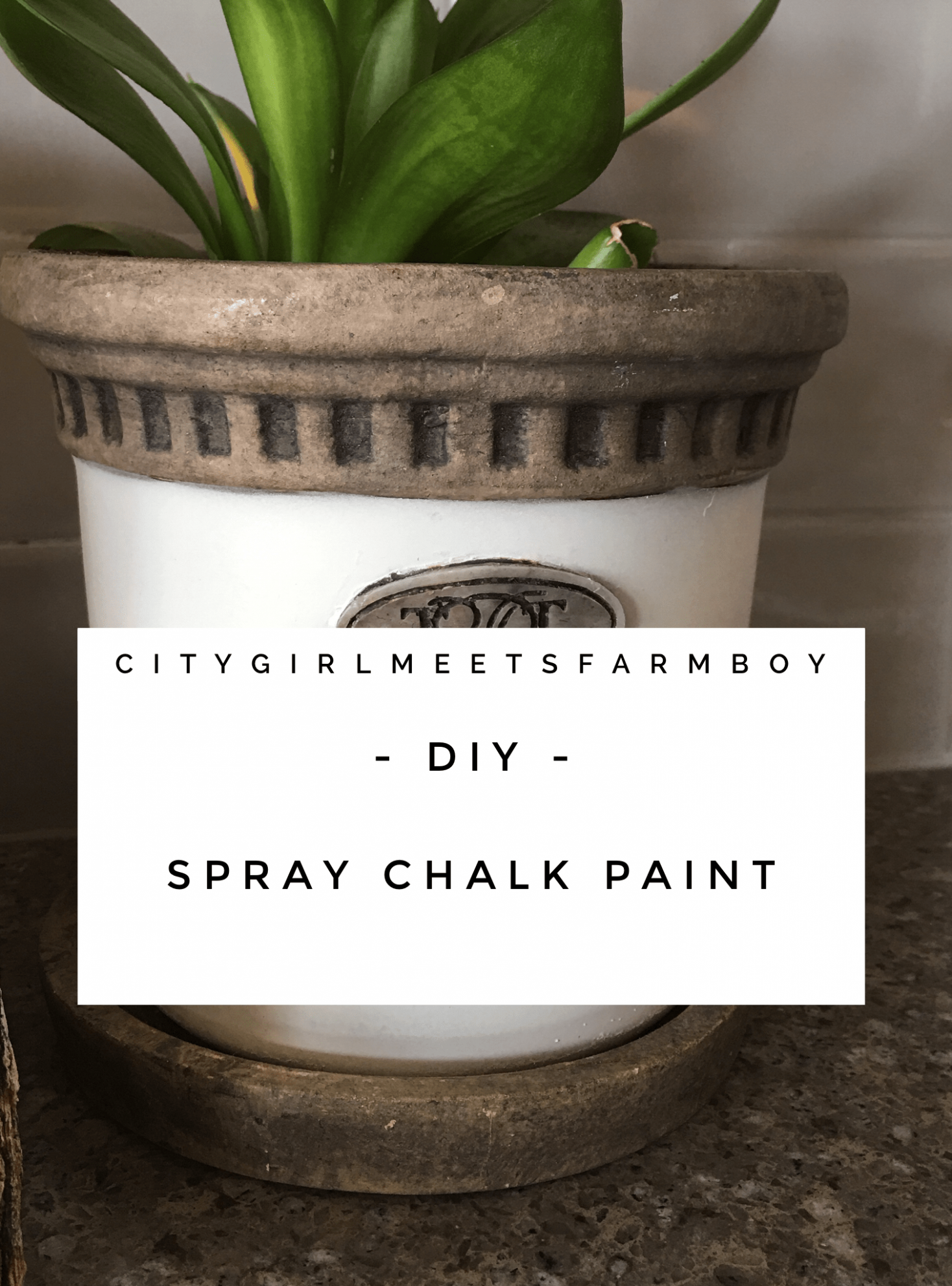 Do It Yourself – Spray Chalk Paint – Citygirlmeetsfarmboy Annie Sloan Chalk Paint Colors Home Depot