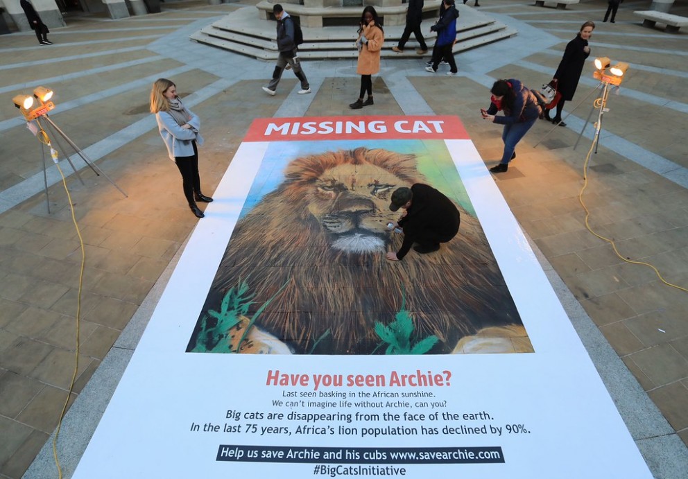 Giant Missing Cat Poster Paternoster Square, London 29th Jan 2019 Can You Use Spray Paint Over Chalk Paint