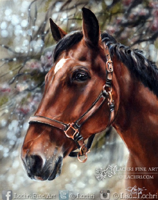 Painting A Horse In Oil Over Acrylic Paint Lachri Fine Art Acrylic Fluid Painting Cles Near Me